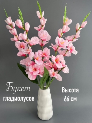 Букет гладиолусов 5 веток, 66 см, нежно-розовый