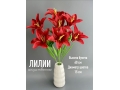 Букет лилия 7 голов, 60 см, красный
