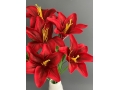 Букет лилия 7 голов, 60 см, красный