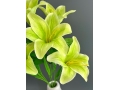 Букет лилия 7 голов, 60 см, лимонный