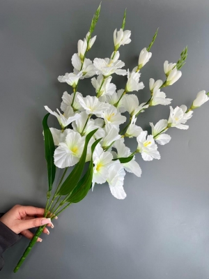 Букет гладиолусов 5 веток, 66 см, белый