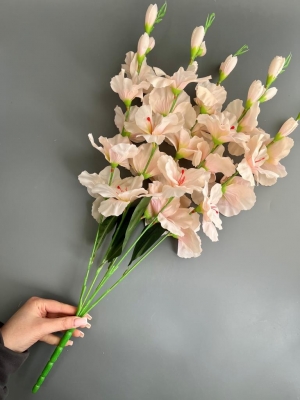 Букет гладиолусов 5 веток, 68 см, кремовый