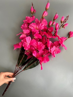Букет гладиолусов 5 веток, 68 см, фуксия