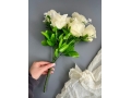 Букет бутон роз 6 голов, 40 см, кремовый