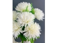 Букет хризантем 6 веток, 47 см, кремовый
