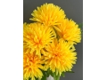 Букет хризантем 6 веток, 47 см, желтый