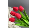 Ветка одиночная тюльпан латекс, 32 см, красный, 5 шт