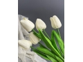 Ветка одиночная тюльпан латекс, 32 см, белый, 5 шт