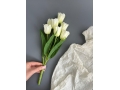 Букет тюльпанов 7 голов, 35 см, белый