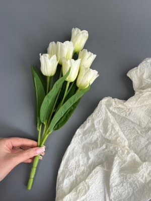 Букет тюльпанов 7 голов, 35 см, белый
