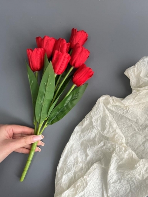 Букет тюльпанов 7 голов, 35 см, красный