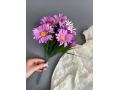 Ромашки в букете 6 голов с мелкоцветом, 34 см, сиреневый