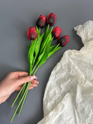 Ветка одиночная тюльпан латекс, 32 см, красно-черный, 5 шт