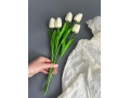 Ветка одиночная тюльпан латекс, 32 см, белый, 5 шт