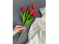 Ветка одиночная тюльпан латекс, 32 см, красный, 5 шт