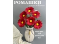 Ромашки в букете 6 голов с мелкоцветом, 34 см, красный