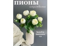 Букет пионов 6 голов, 30 см, белый