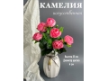 Камелия в букете 6 голов, 35 см, розовый