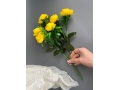 Камелия в букете 6 голов, 35 см, желтый
