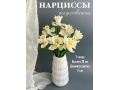 Букет зелени нарцисс 7 веток, 38 см, белый