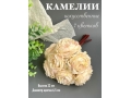 Камелии в букете 7 голов, 23 см, персиковый