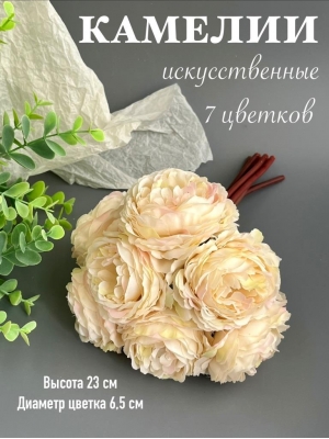 Камелии в букете 7 голов, 23 см, персиковый