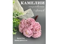 Камелии в букете 7 голов, 23 см, сиреневый