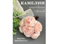 Камелии в букете 7 голов, 23 см, нежно-розовый