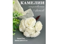 Камелии в букете 7 голов, 23 см, белый