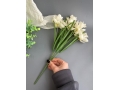 Букет зелени нарцисс 7 веток, 38 см, белый