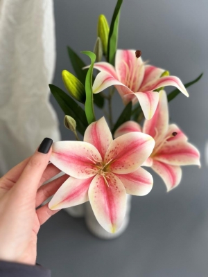 Ветка в букете лилия 3 головы + 3 бутона, 46 см, лимонно-малиновый