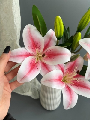 Ветка в букете лилия 3 головы + 3 бутона, 46 см, бело-малиновый