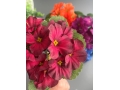 Букет садилка фиалка 12 голов, 25 см, микс 2, 5 шт