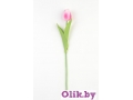 Ветка одиночная тюльпан (35 см) бело-розовый