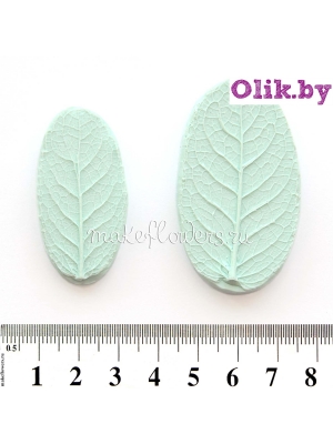 Молды Мята, Листья большой и малый (2 молда)
