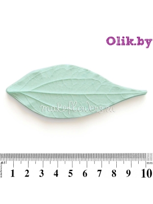 Молд Лист Чубушника