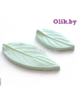 Молды Метельчатая Гортензия, Листья (2 молда)