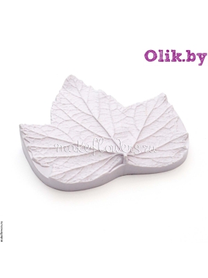 Молд Лист Смородины