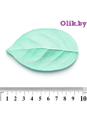 Молд Лист Универсальный, Салал большой