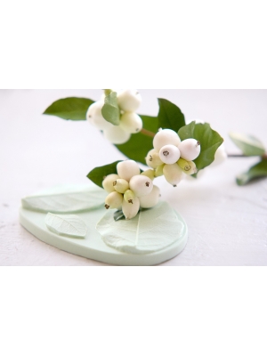 Молд Снежноягодник, Набор листьев