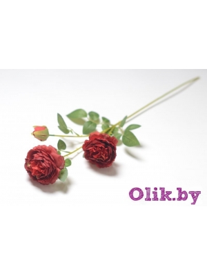 Ветка пиона 2 гол.+ 1 бут.(К . МОНЦА), 65 см, красный комби