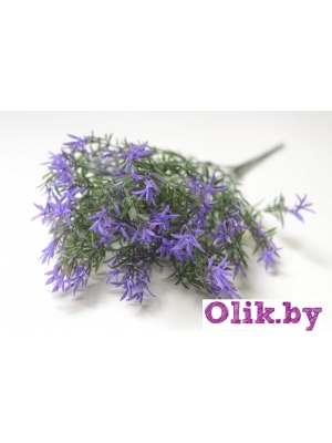 Букет зелени аспарагус 5 веток (КОУМ), 40 см, сиреневый