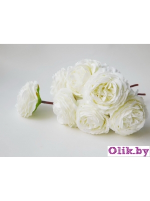 Камелия 1 голова (К. МАТЛОК), 22см, белый