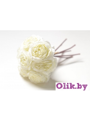 Камелия 1 голова (К. МАТЛОК), 22см, белый