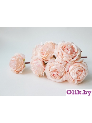 Камелия 1 голова (К. МАТЛОК), 22см, нежно-розовый