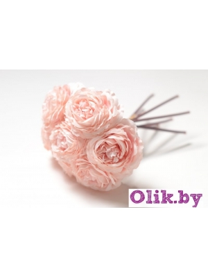 Камелия 1 голова (К. МАТЛОК), 22см, нежно-розовый