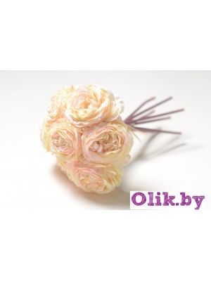 Камелия 1 голова (К. МАТЛОК), 22см, персиковый