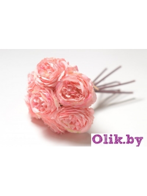 Камелия 1 голова (К. МАТЛОК), 22см, розовый