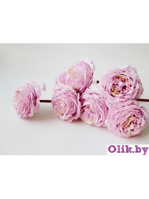 Камелия 1 голова (К. МАТЛОК), 22см, сиреневый