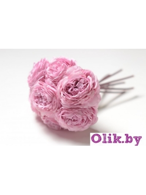Камелия 1 голова (К. МАТЛОК), 22см, сиреневый